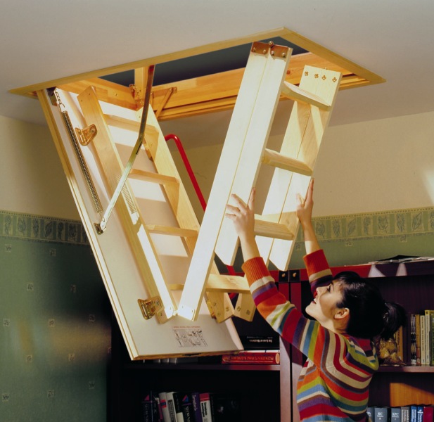 ������ ������������